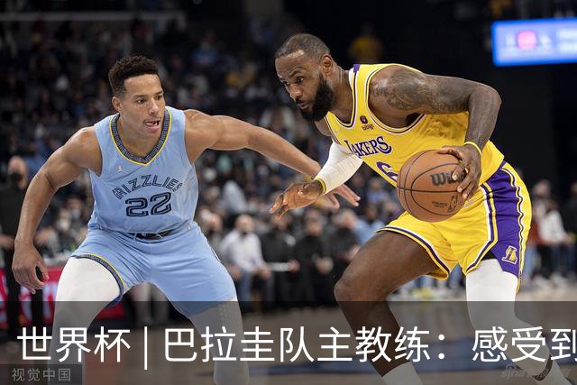 世界杯 | 巴拉圭队主教练：感受到比赛的极致压力
