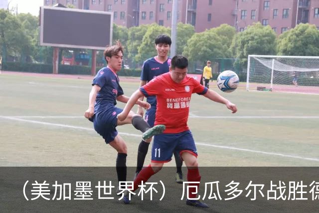 （美加墨世界杯）厄瓜多尔战胜德国晋级 科特迪瓦送库拉索出局